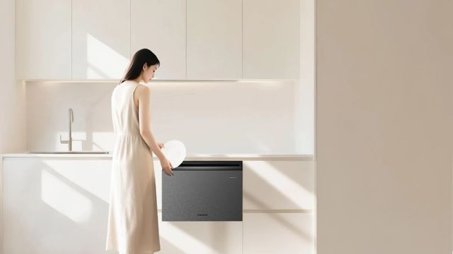 正在迎来技术大爆发时代！开元棋牌app洗碗机行业(图4)